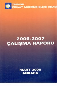 2888 2006-2007 41. DÖNEM ÇALIŞMA RAPORU (2008)